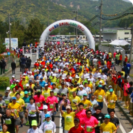 TSURUGA WAKASAスポーツチャレンジ祭の情報はこちら